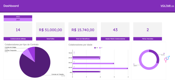 Planilha Google de Recursos Humanos - Dashboard