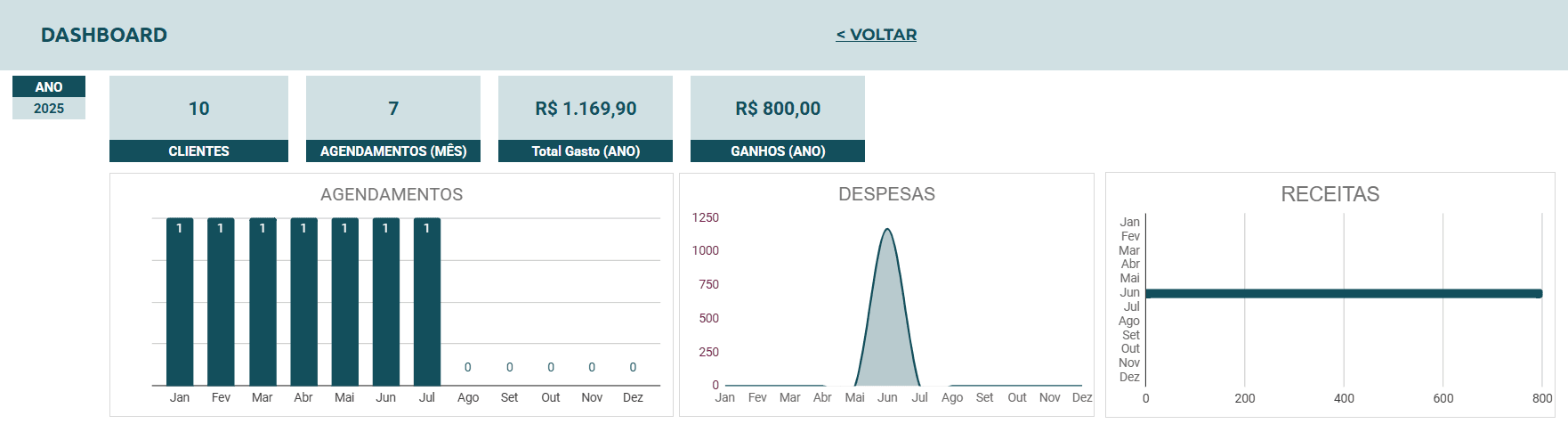 Planilha Google para Quiropraxista - Dashboard