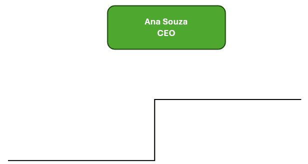 Planilha de Organograma Automático - Configurações